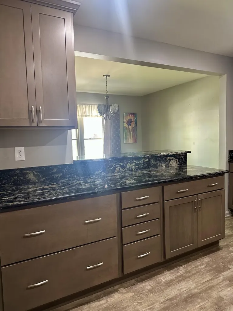 1753 N Silvery Lane Dearborn City MI 48128
