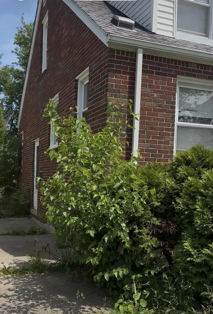 9824 Philip Street Detroit City MI 48224