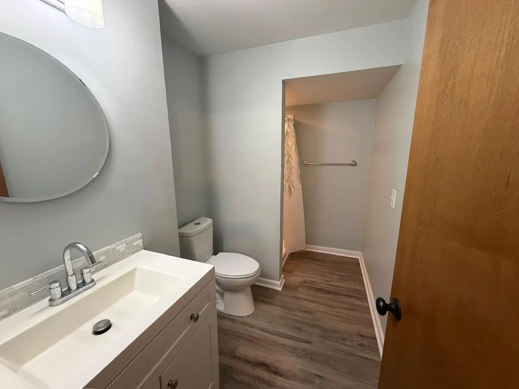1417 Larkwood Drive Dewitt City MI 48820