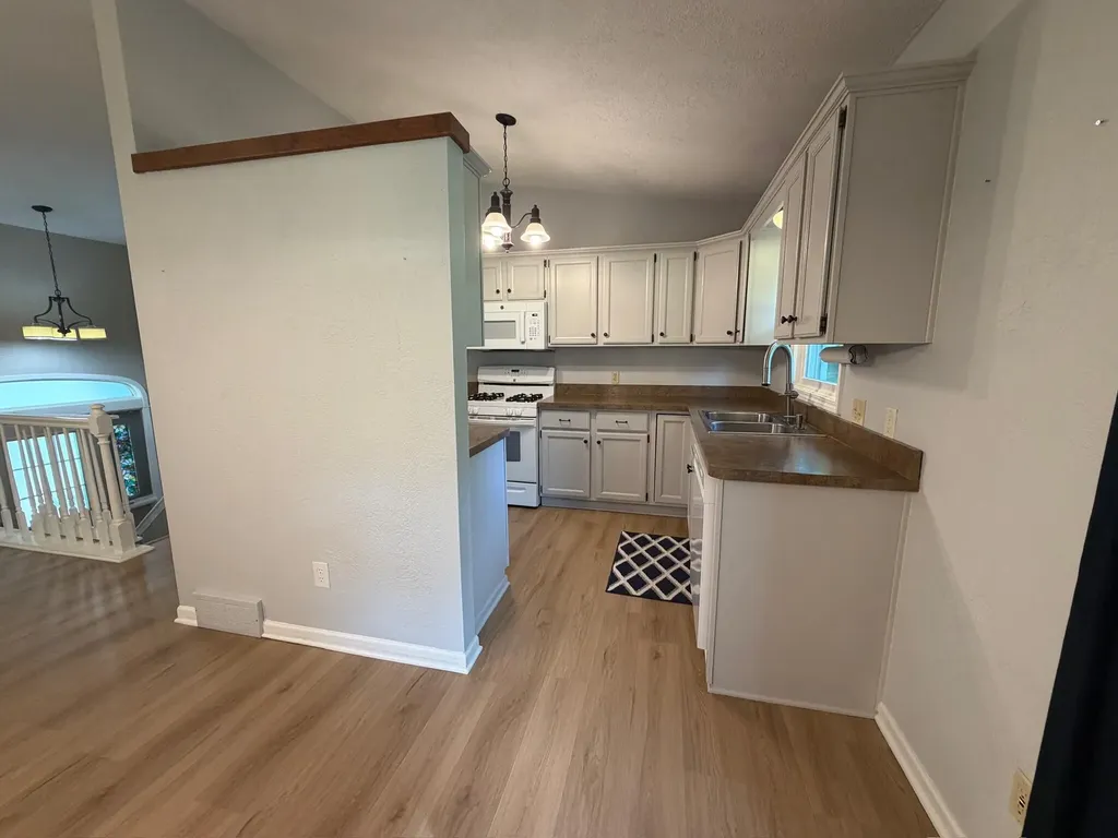 1417 Larkwood Drive Dewitt City MI 48820