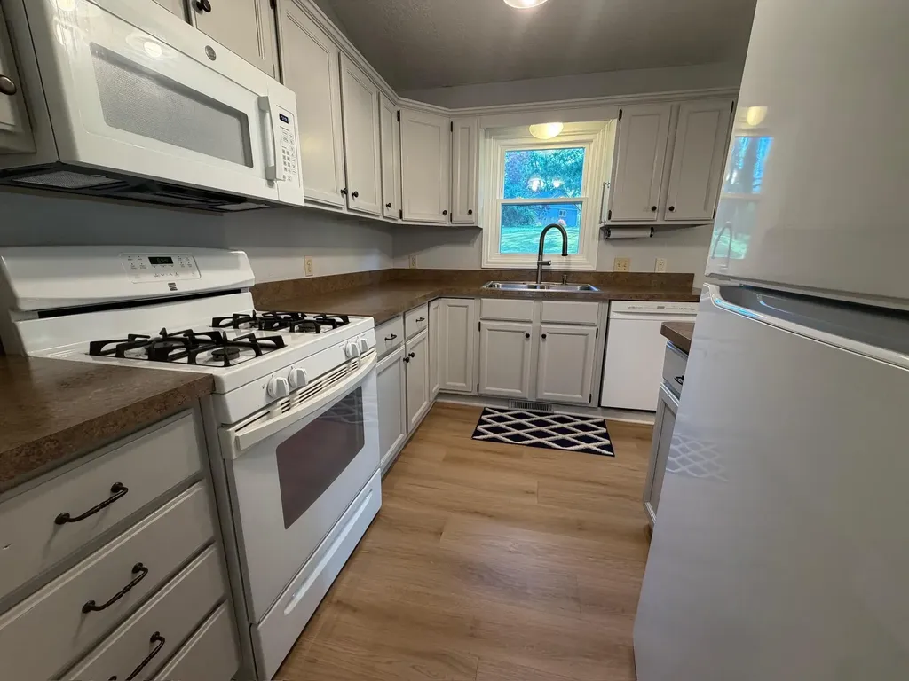 1417 Larkwood Drive Dewitt City MI 48820