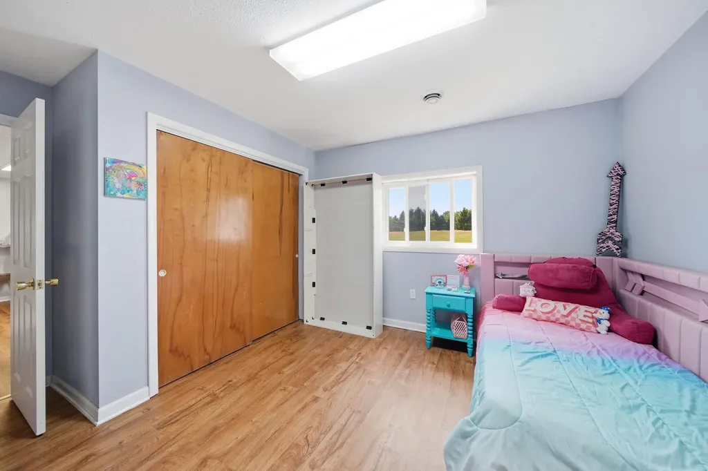 5550 E Carleton Road Palmyra Township MI 49268