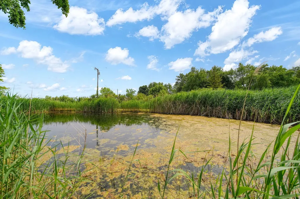5550 E Carleton Road Palmyra Township MI 49268