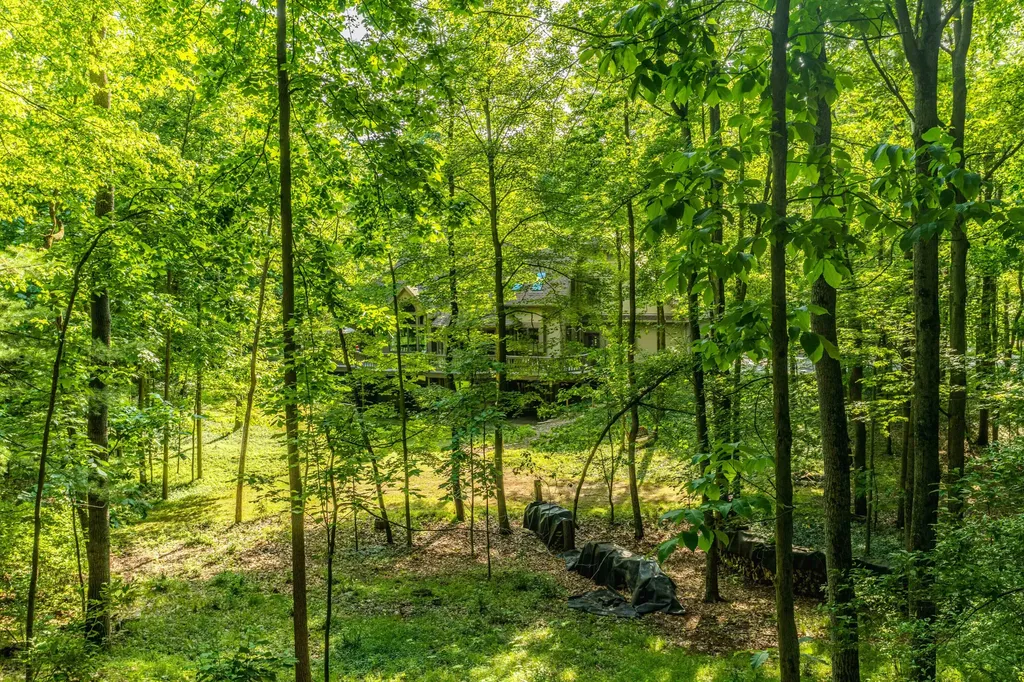 1935 Pierce Road Chelsea City MI 48118