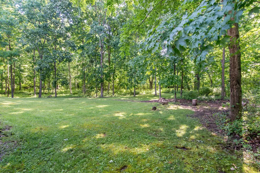 10090 King Hill Court Dexter Township MI 48130