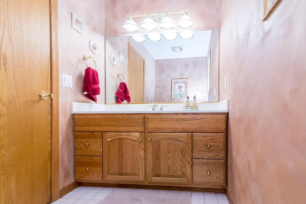 10090 King Hill Court Dexter Township MI 48130