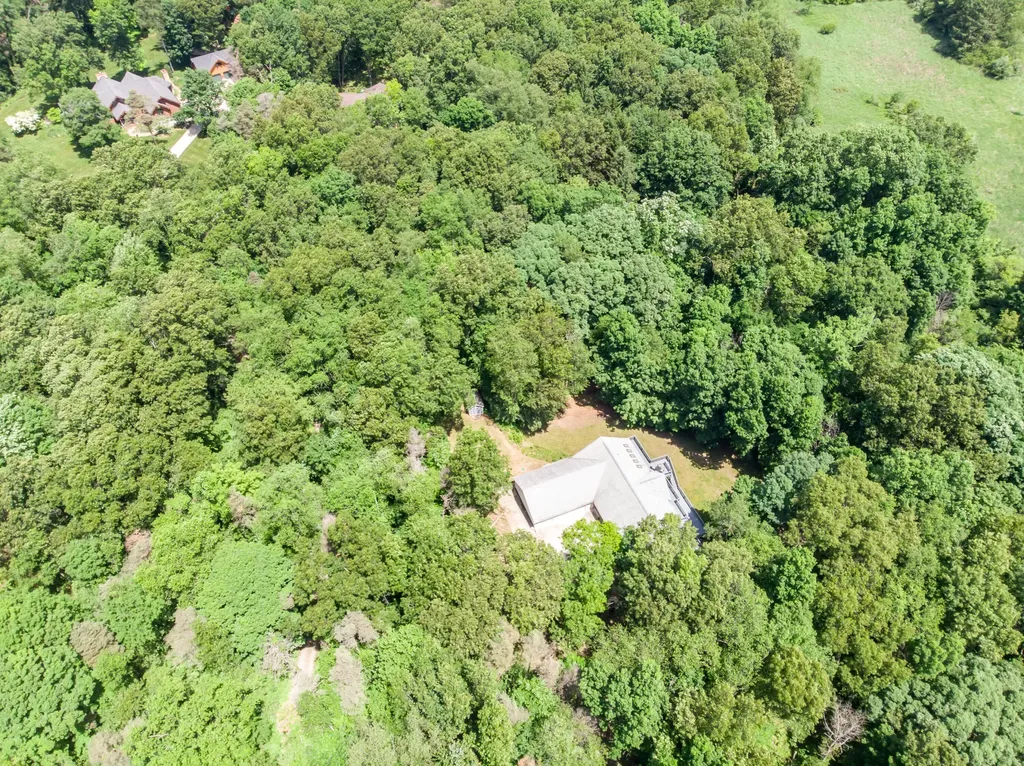 10090 King Hill Court Dexter Township MI 48130
