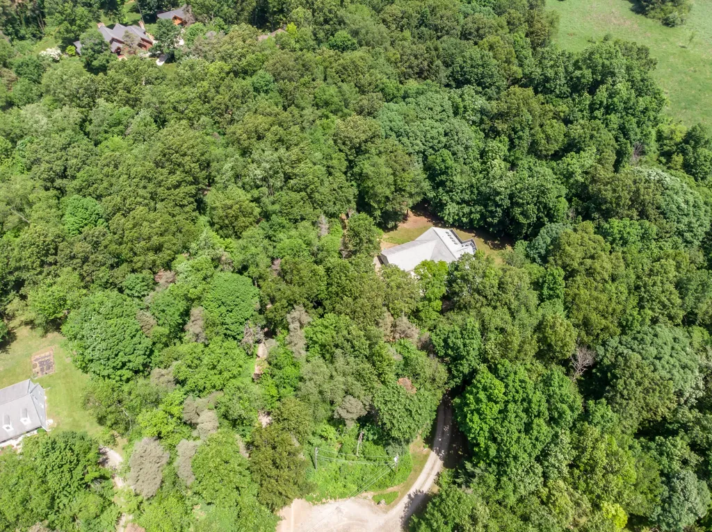 10090 King Hill Court Dexter Township MI 48130