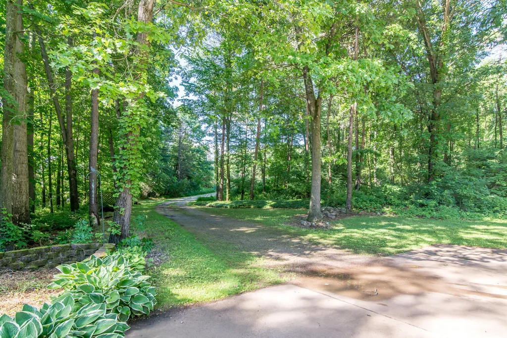 10090 King Hill Court Dexter Township MI 48130