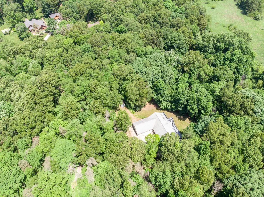 10090 King Hill Court Dexter Township MI 48130