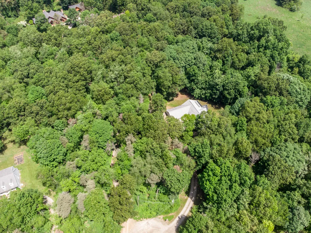 10090 King Hill Court Dexter Township MI 48130