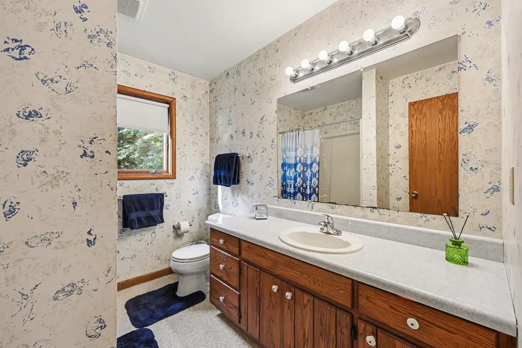 5688 W Waters Road Lodi Township MI 48103