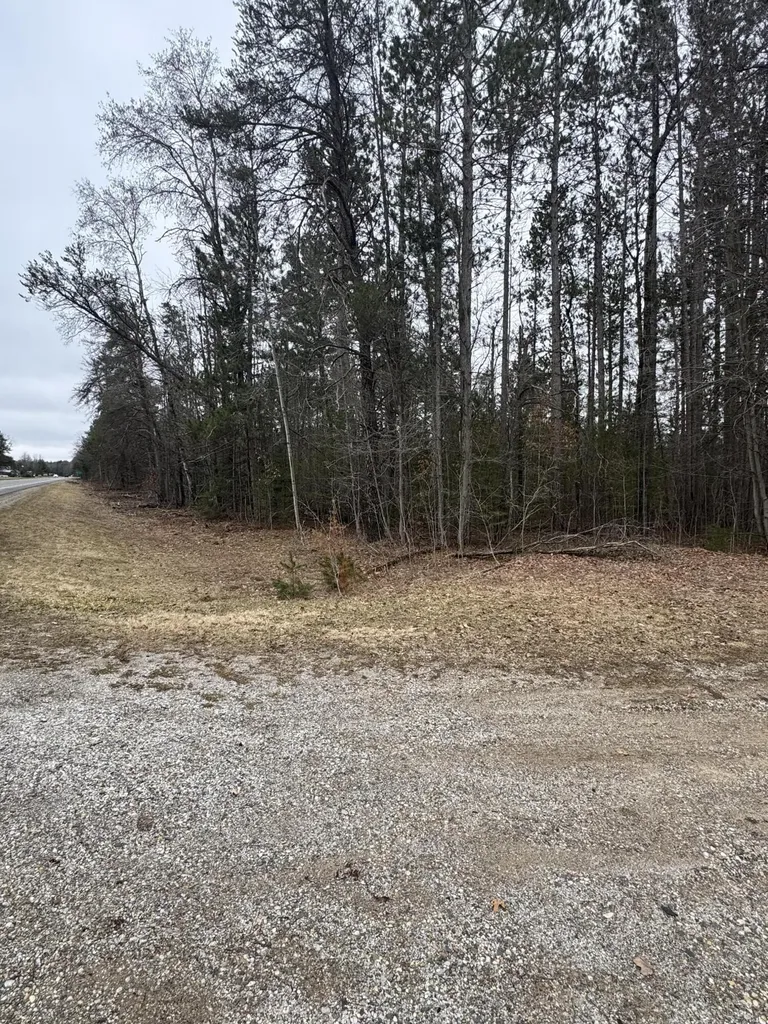10365 Cadillac Drive Freeman Township MI 48632