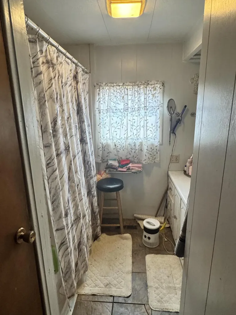 10365 Cadillac Drive Freeman Township MI 48632