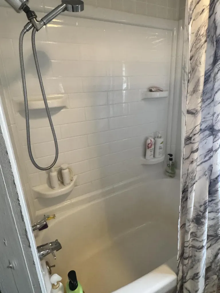 10365 Cadillac Drive Freeman Township MI 48632