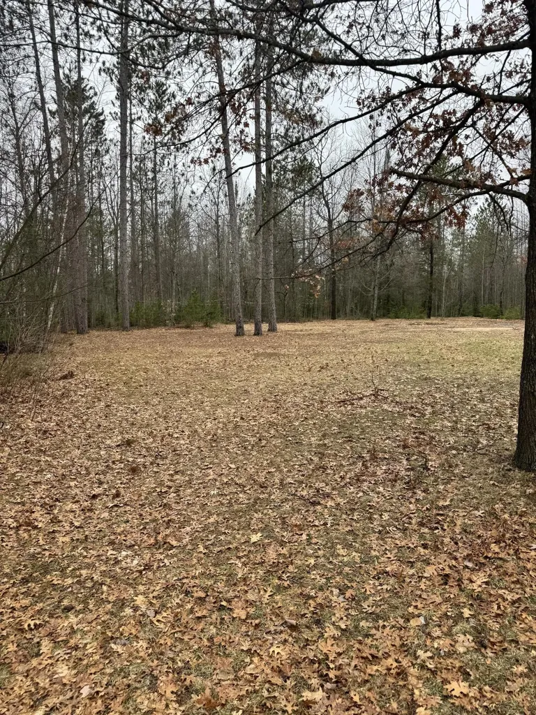 10365 Cadillac Drive Freeman Township MI 48632