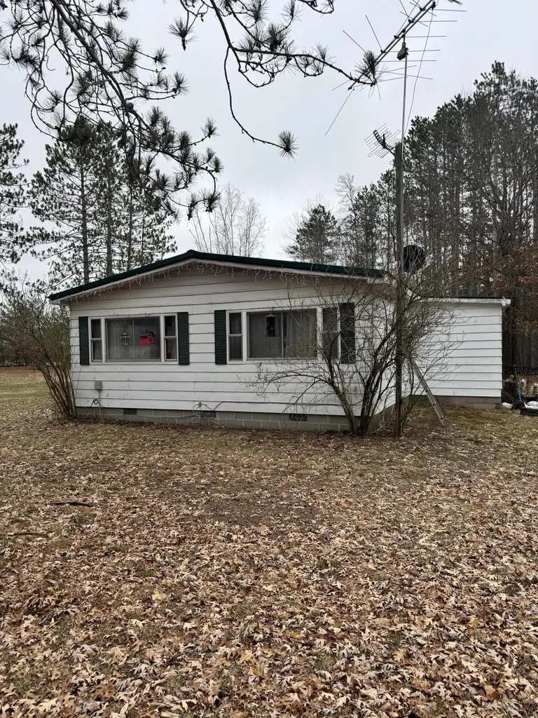 10365 Cadillac Drive Freeman Township MI 48632