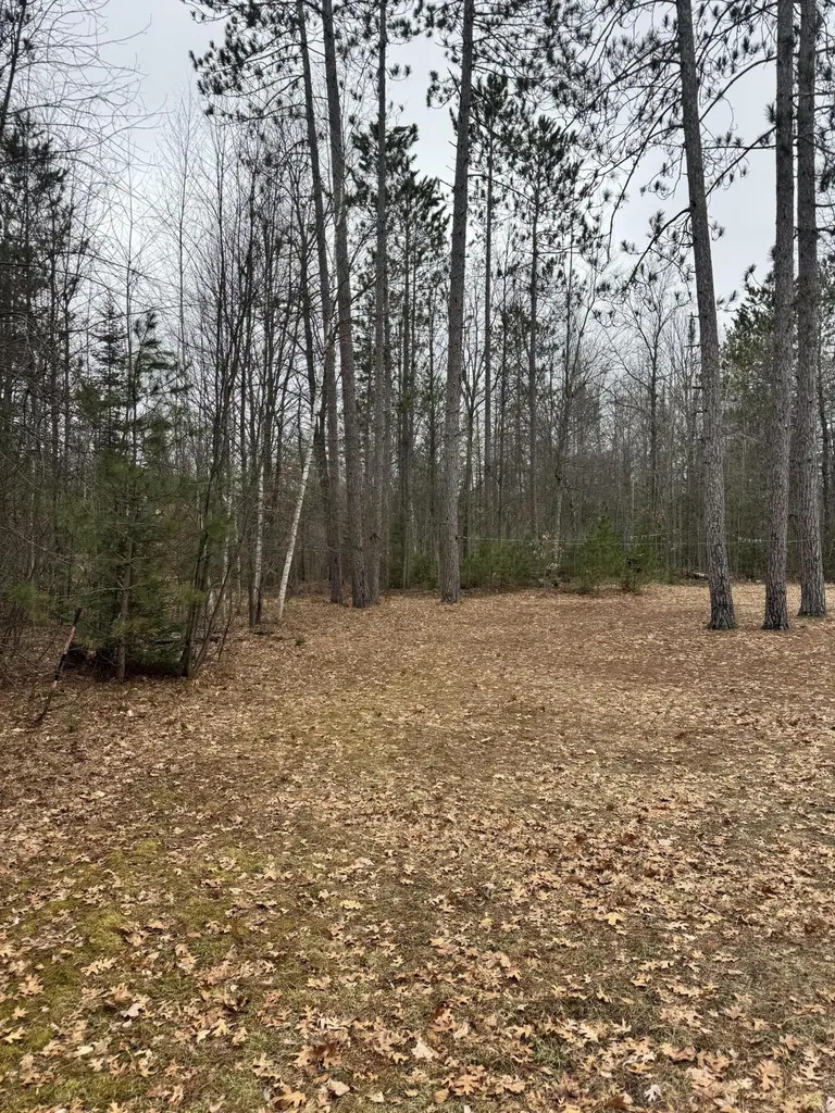 10365 Cadillac Drive Freeman Township MI 48632