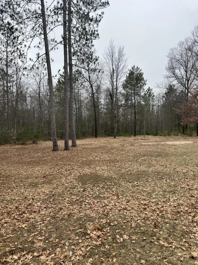 10365 Cadillac Drive Freeman Township MI 48632