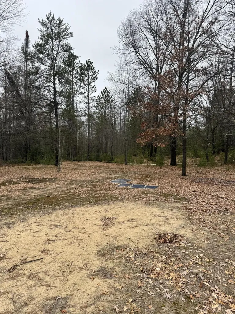 10365 Cadillac Drive Freeman Township MI 48632
