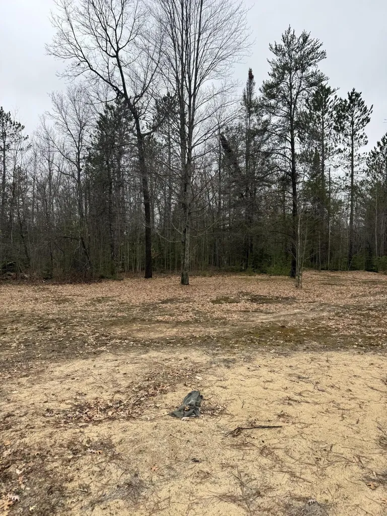10365 Cadillac Drive Freeman Township MI 48632
