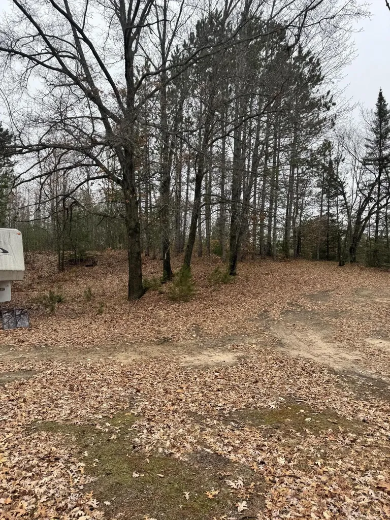 10365 Cadillac Drive Freeman Township MI 48632