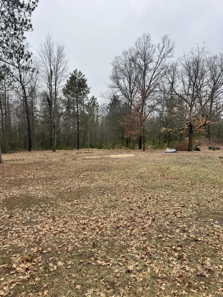10365 Cadillac Drive Freeman Township MI 48632
