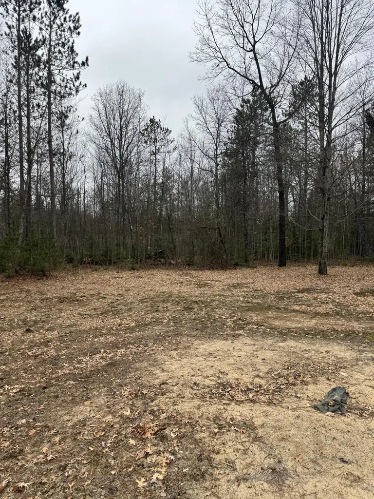 10365 Cadillac Drive Freeman Township MI 48632