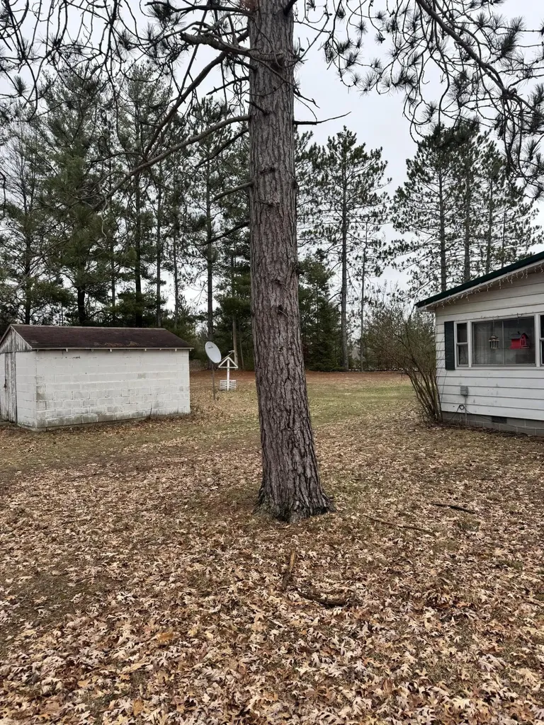 10365 Cadillac Drive Freeman Township MI 48632