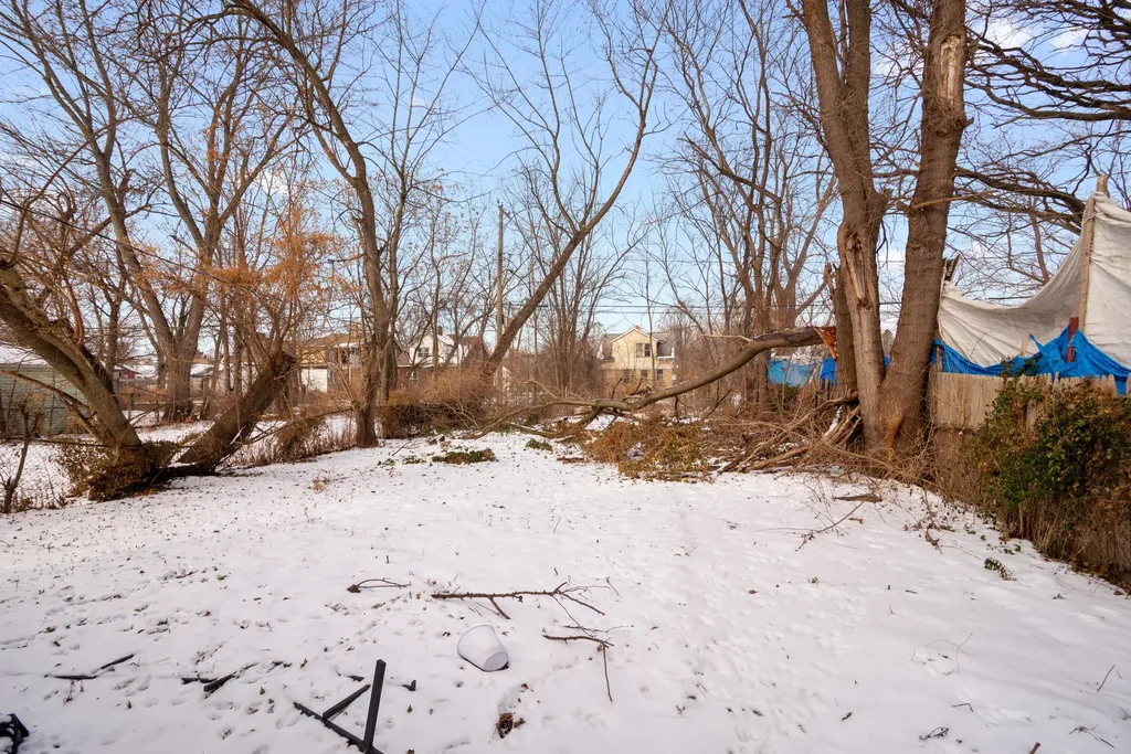 11801 Elmdale Street Detroit City MI 48213
