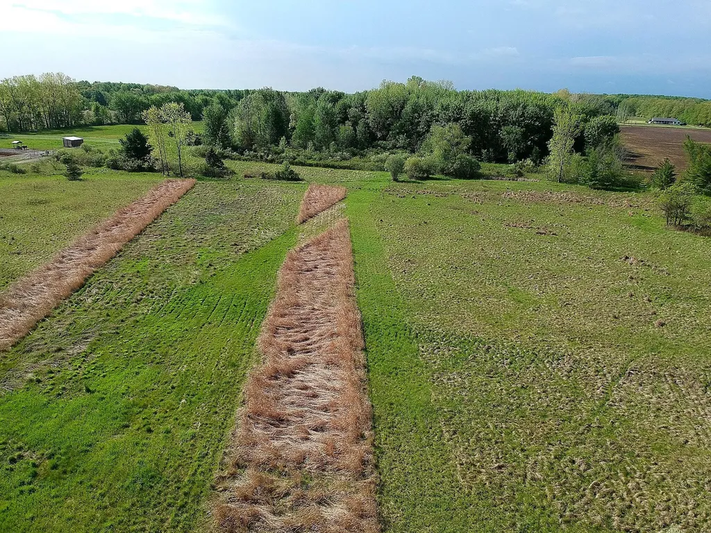 9227 Yager Road Columbus Township MI 48063