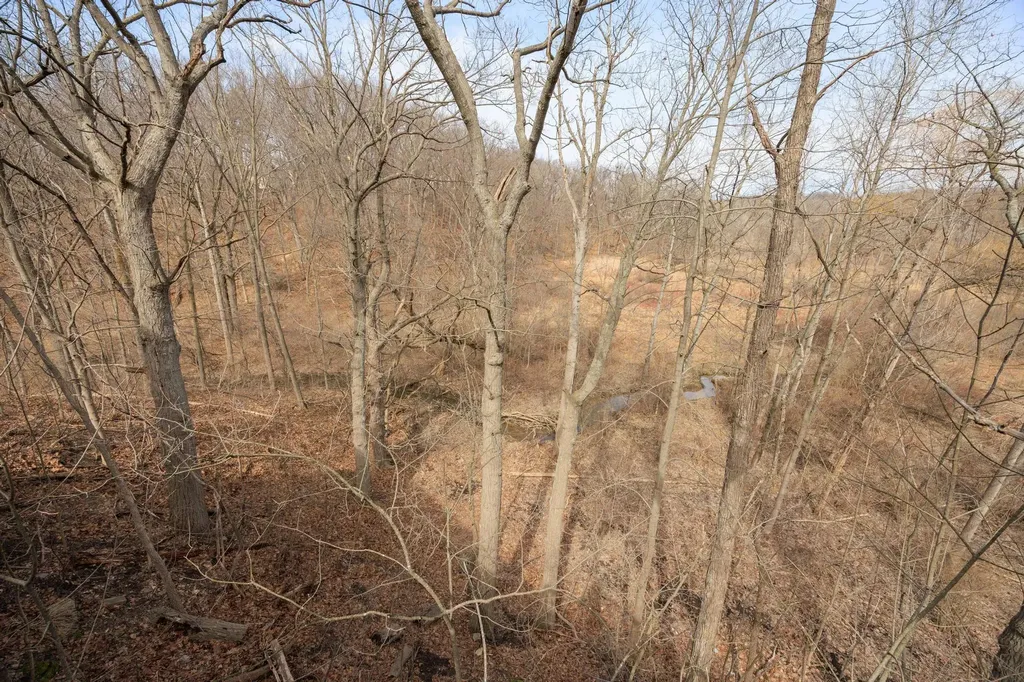 1260 Silverbell Road Oakland Charter Township MI 48306