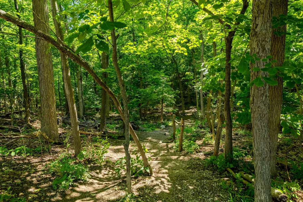 2254 Rivenoak Court Ann Arbor City MI 48103