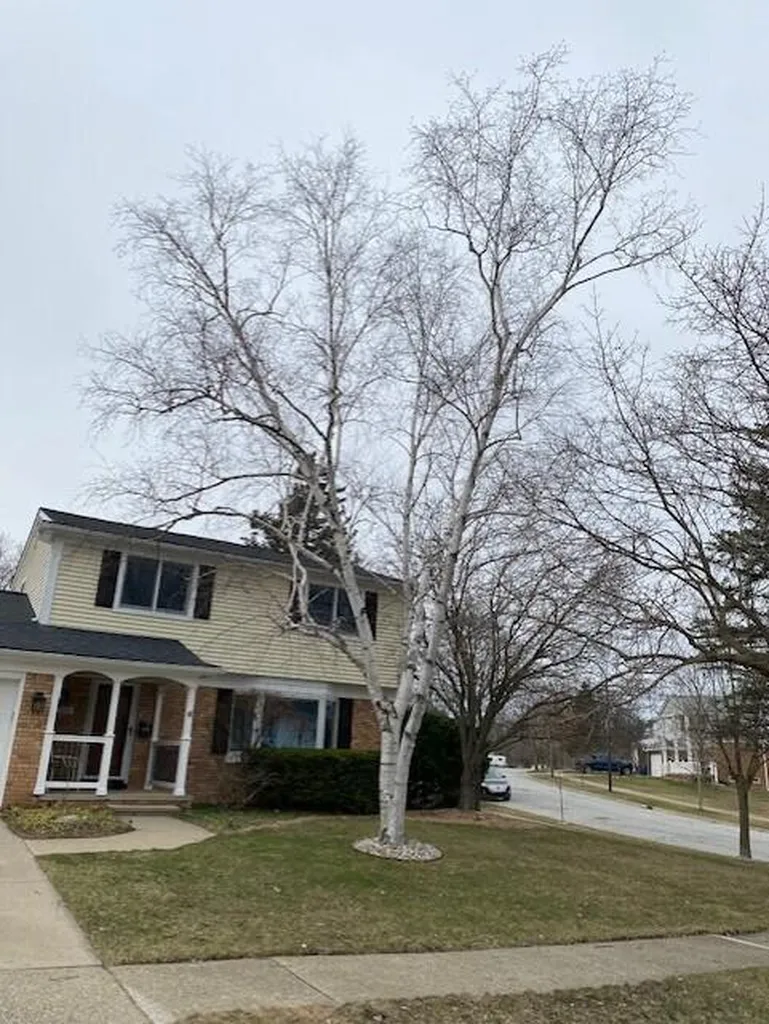 2310 Churchill Drive Ann Arbor City MI 48103