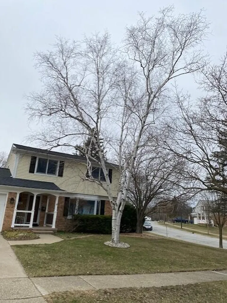 2310 Churchill Drive Ann Arbor City MI 48103