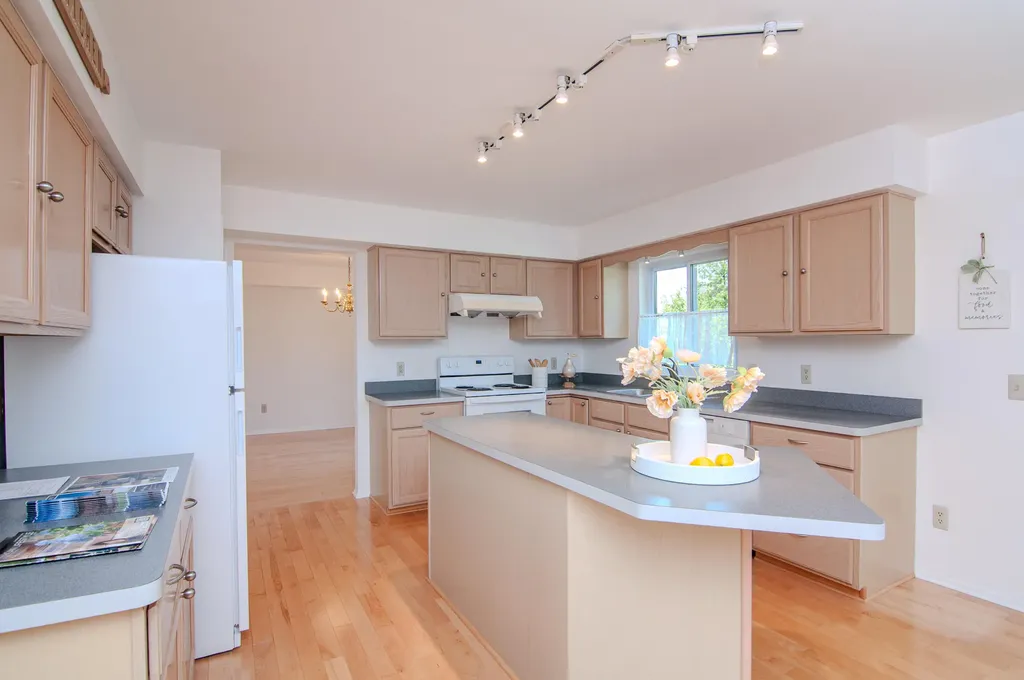 3162 Shamrock Court Ann Arbor City MI 48105
