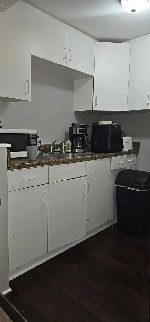 928 Ottawa Avenue Ypsilanti Charter Township MI 48198