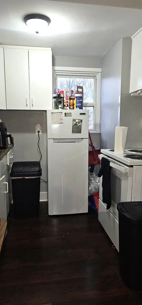 928 Ottawa Avenue Ypsilanti Charter Township MI 48198