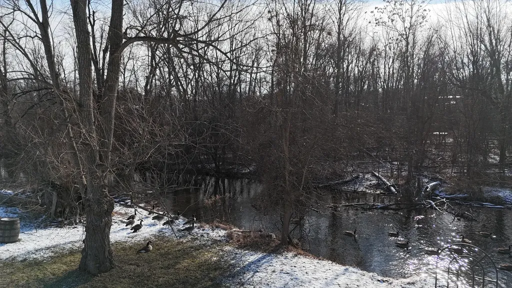 7525 Huron River Drive Webster Township MI 48130