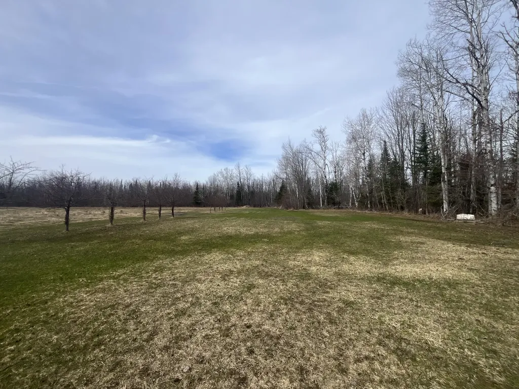 11492 Maple Lane Road Unknown City MI 49776