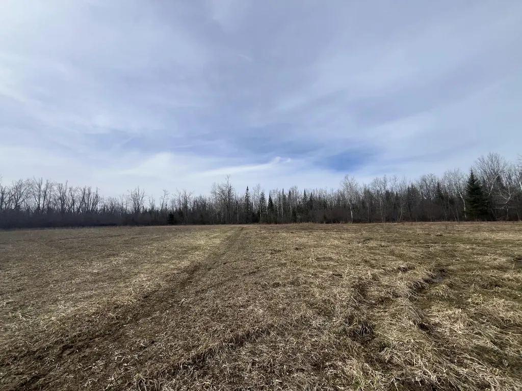 11492 Maple Lane Road Unknown City MI 49776