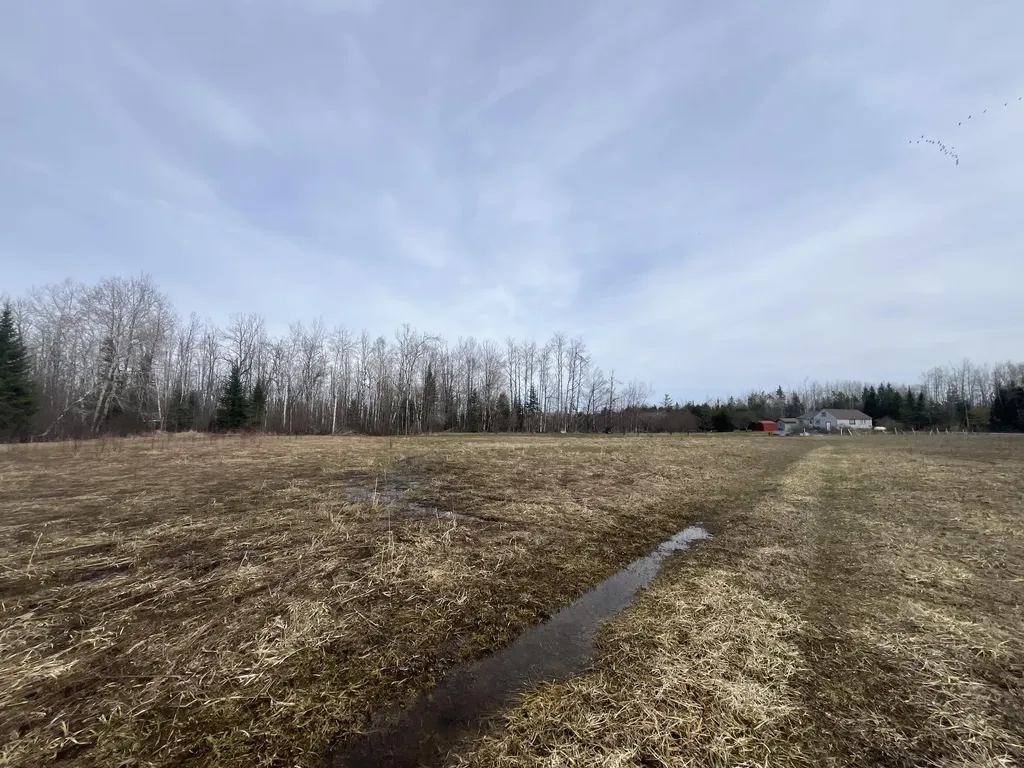 11492 Maple Lane Road Unknown City MI 49776
