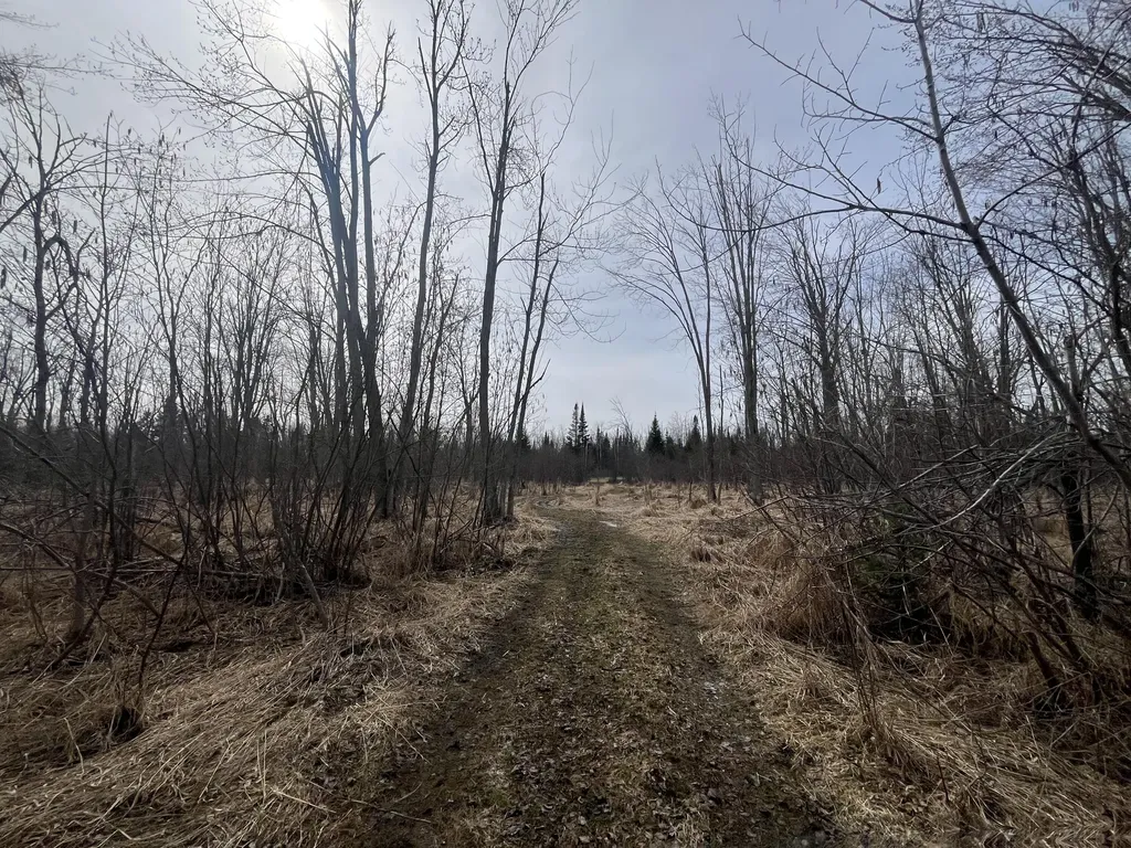 11492 Maple Lane Road Unknown City MI 49776