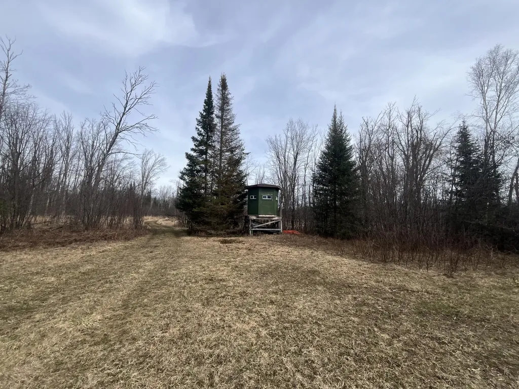 11492 Maple Lane Road Unknown City MI 49776