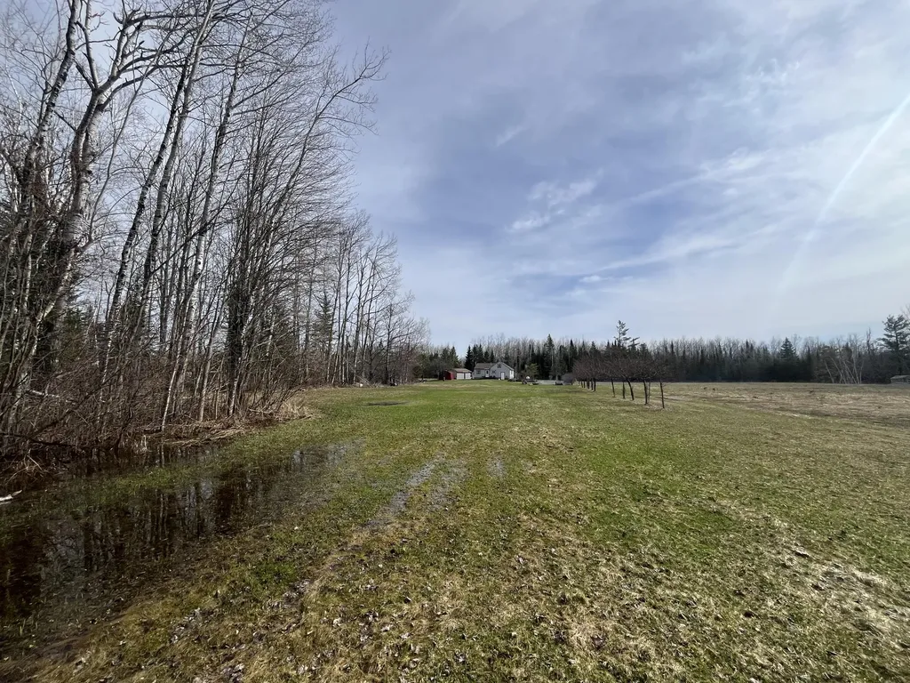 11492 Maple Lane Road Unknown City MI 49776