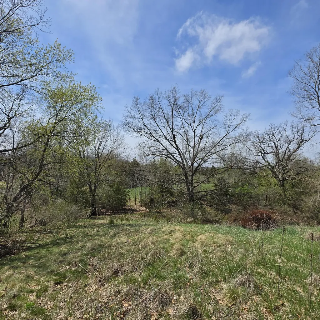 10650 Lawrence Road Norvell Township MI 49230