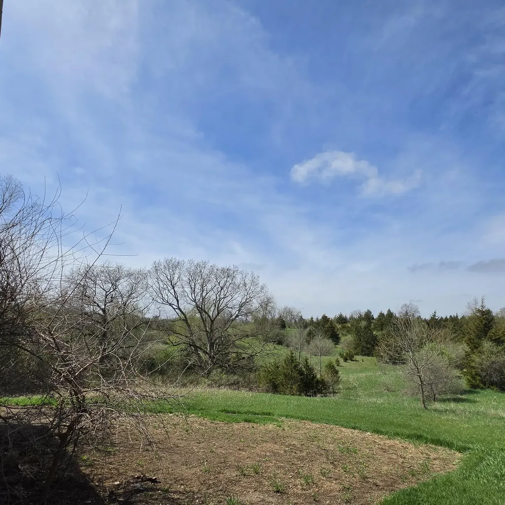 10650 Lawrence Road Norvell Township MI 49230