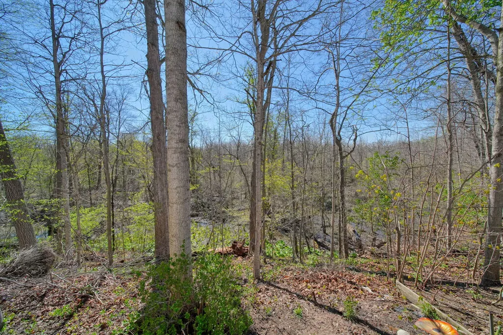 448 Raisin River Drive Adrian City MI 49221