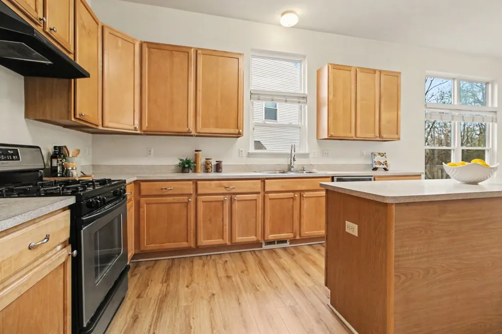 1411 N Bay Drive Scio Township MI 48103