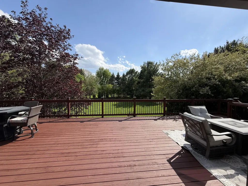 1835 Brookview Drive Lodi Township MI 48176